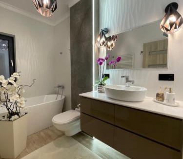 Satu Mare Villa | Class Luxury Residence