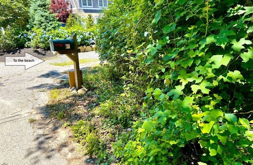 Falmouth House | Classic Cape Cod Cottage: Prime Location & Private Association Beach Access