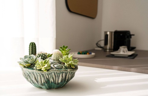 Santiago de Compostela Apartment | Classic Studio Apartment