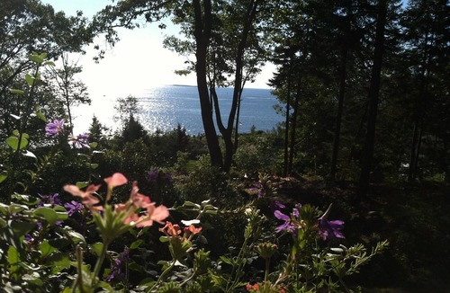 Peaks Island Cottage | Classic Family Cottage, Ocean View from Porch, Peaceful Rural Location