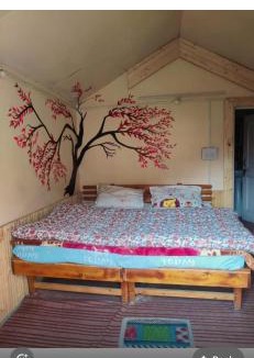 Katra Hostel | Classic hostel