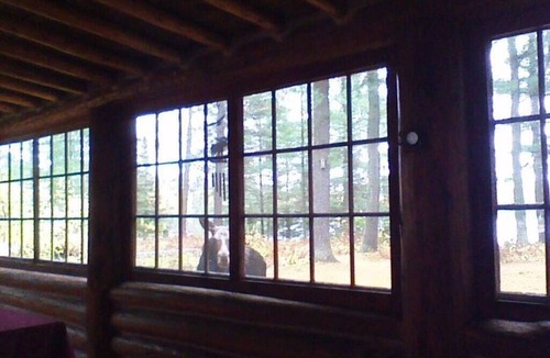 Republic House | Classic Lodge on Private Lake