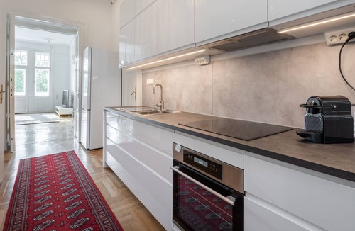 Nepszinhaz negyed Apartment | Classical apartment with a modern touch!