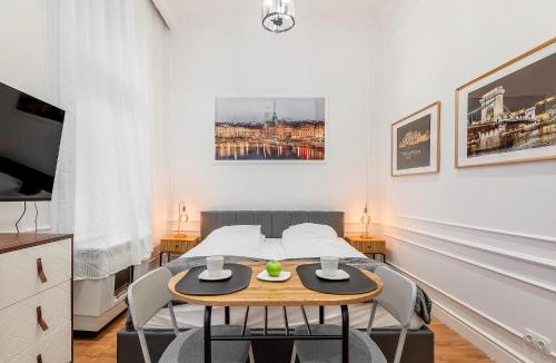 Nepszinhaz negyed Apartment | Classical mini studio with a modern touch!