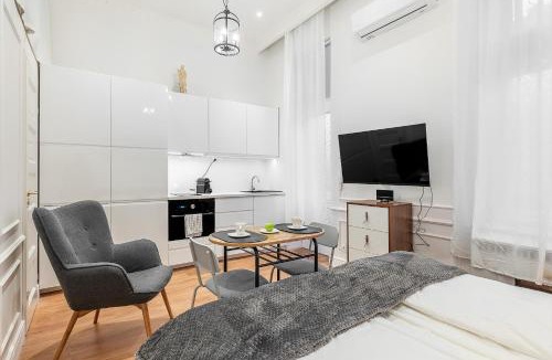 Nepszinhaz negyed Apartment | Classical mini studio with a modern touch!