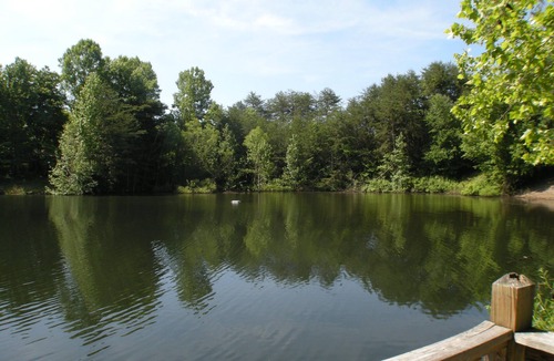 Monticello Condo | Clean, comfortable, updated 2 bedroom 1 bath condo overlooking pool.