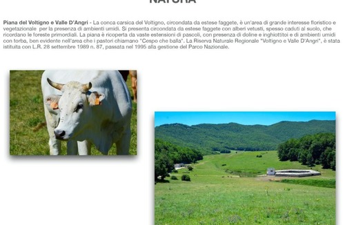 Carpineto della Nora Bed & Breakfast | Clementina B&B