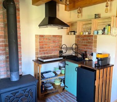 Bogdan Voda House | Clop&Cojoc Rustic old wooden house