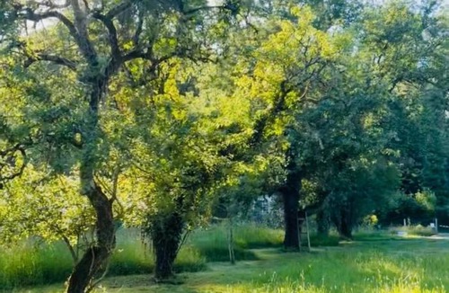 Valencay Bed & Breakfast | Clos Lujatis