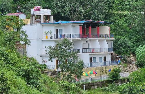 Lansdowne Hotel | Cloud Forest