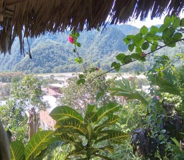 La Merced House | Cloud forest SAN CARLOS