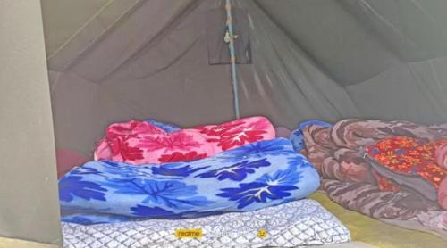 Shivanandi Other | Cloud Walkers Stay