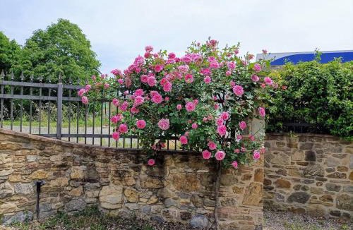 Pieve al Bagnoro Villa | CoachingHouseWinter