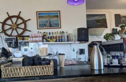 Sharp Park Apartment | Coastal Palm Tree 2BR Retreat Ocean View