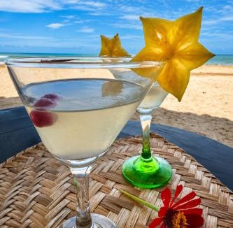 Dibulla Hotel | Coccoloba Beach Hotel