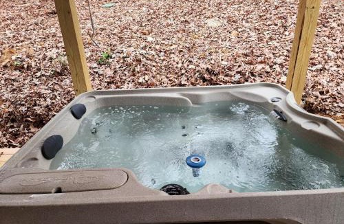 Sevierville House | Cockpit Lounge #1406