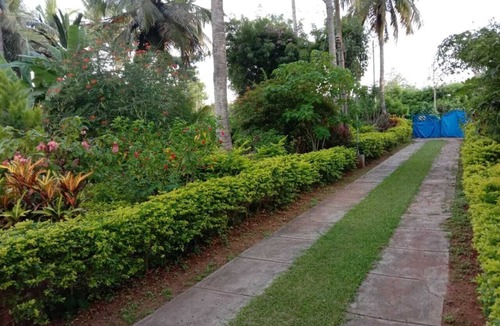 Mysore House | Coco Palms Homestay