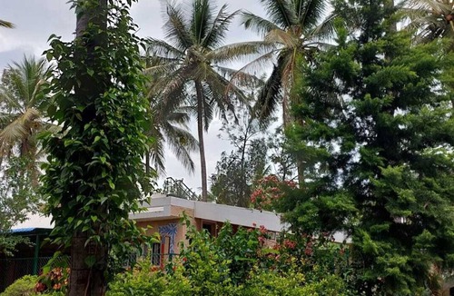 Mysore House | Coco Palms Homestay