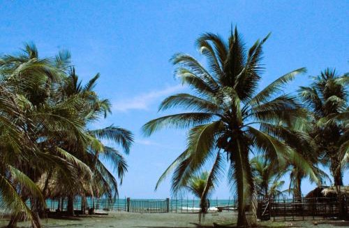 San Bernardo del Viento House | Coco y arena cabaña frente al mar, lejos del turismo y cerca a los manglares