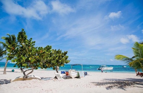 Playa Bibijagua Apartment | Coconut beach