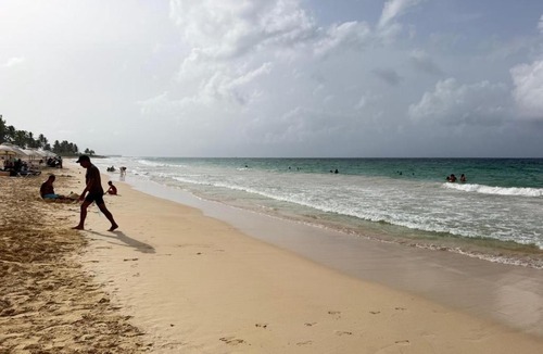 Playa Bibijagua Apartment | Coconut beach