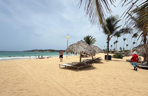 Playa Bibijagua Apartment | Coconut beach