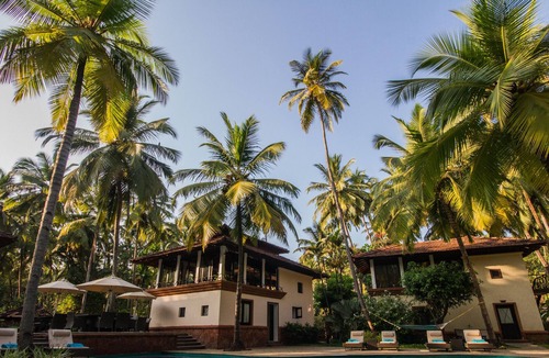 Bogmolo Resort | Coconut Creek