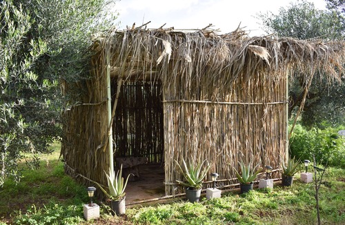 Marathopoli Cottage | Cocoon Tent in an Olive Grove