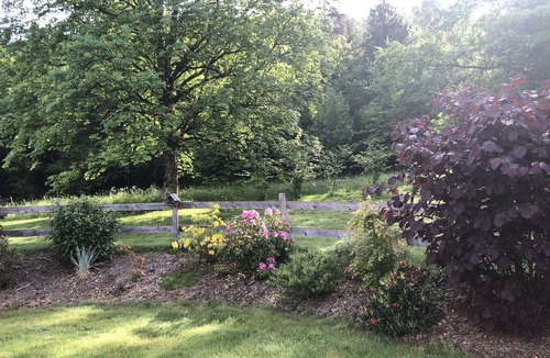 Ramonchamp House | Cocooning spirit gîte close to hiking trails and cycle path.