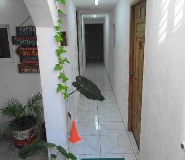 Downtown Cancun Apartment | Cocos