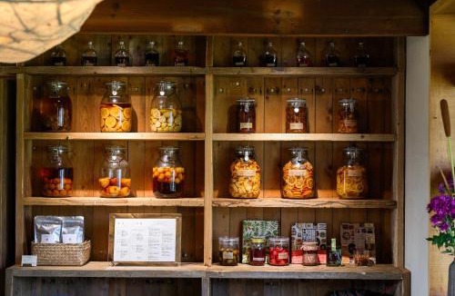 Tenri Cabin | cofunia - Five Elements Retreat on the Yamanobe Trail