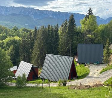 Moieciu de Jos Ski Chalet | Colț de RAI A-Frame