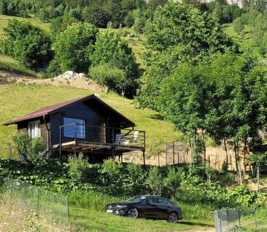 Moieciu Ski Chalet | Colnic Tiny House