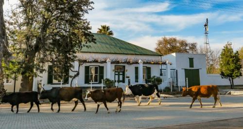 Murraysburg House | Colonial Karoo Guesthouse