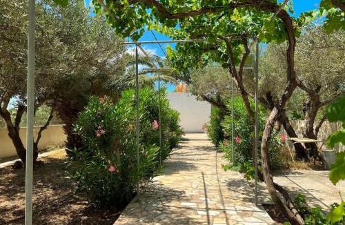 Ierapetra Apartment | colored houses