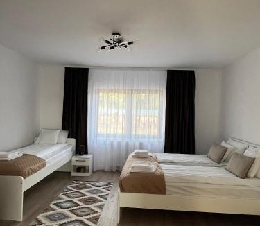 Curatele Apartment | Colt de Apuseni