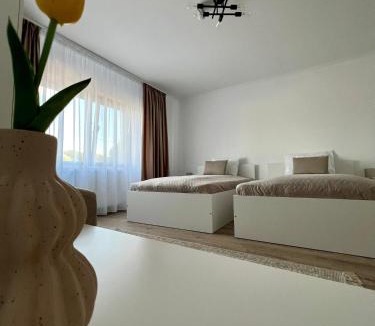 Curatele Apartment | Colt de Apuseni