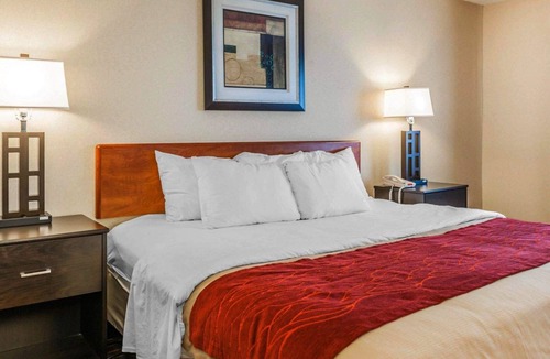 Avon Hotel | Comfort Inn Avon-Indianapolis West