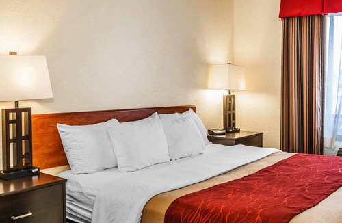 Avon Hotel | Comfort Inn Avon-Indianapolis West