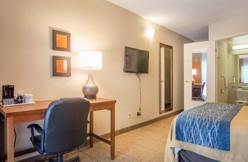 Bathurst Hotel | Comfort Inn