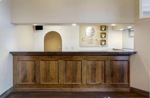 South Lethbridge Hotel | Comfort Inn