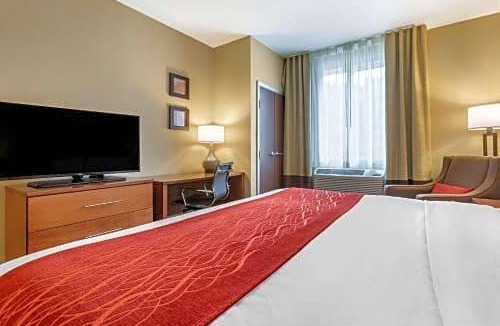 Hill City Hotel | Comfort Inn & Suites Near Mt. Rushmore