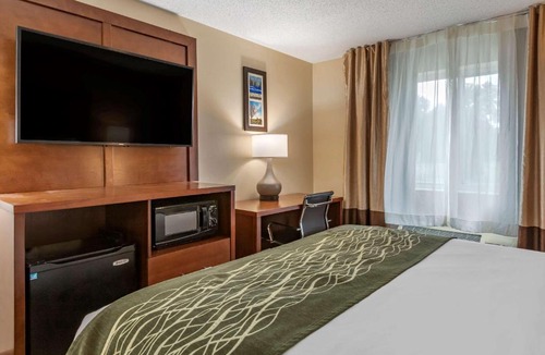 Dimondale Hotel | Comfort Inn & Suites Dimondale - Lansing