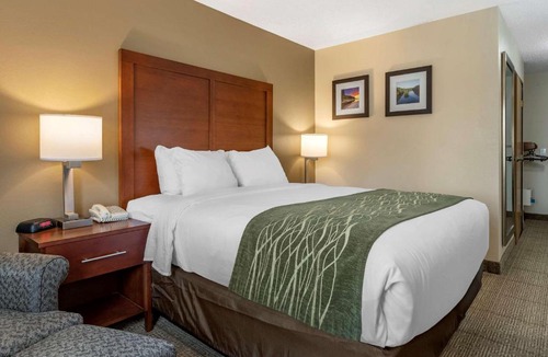 Dimondale Hotel | Comfort Inn & Suites Dimondale - Lansing