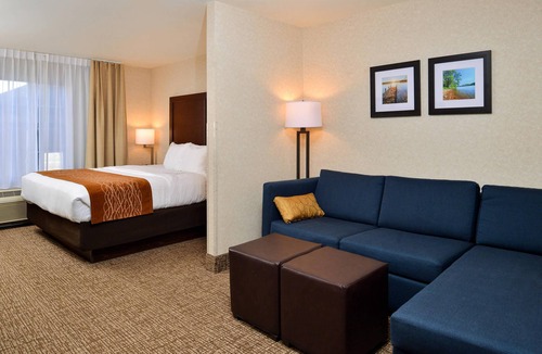 Morrisonville Hotel | Comfort Inn & Suites Madison North
