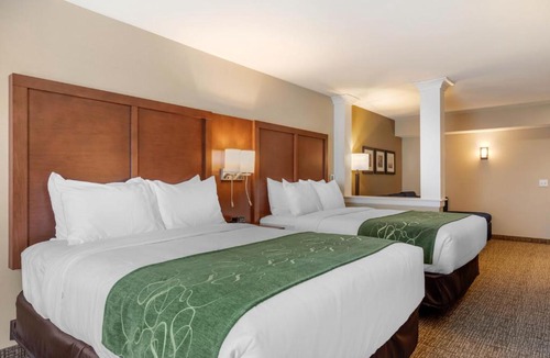 Scotia Hotel | Comfort Inn & Suites Schenectady - Scotia