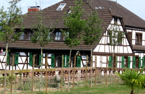 Laudenbach Cottage | Comfort single room no. 23 - Goldner Engel, Restaurant - Hotel - Butcher's shop