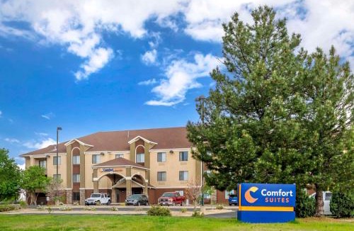 Castle Rock Hotel | Comfort Suites Castle Rock - Denver South