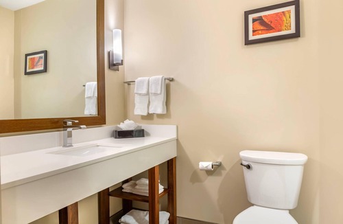 Florence Hotel | Comfort Suites Florence - Cincinnati South