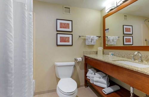 Fredericksburg Hotel | Comfort Suites Fredericksburg South